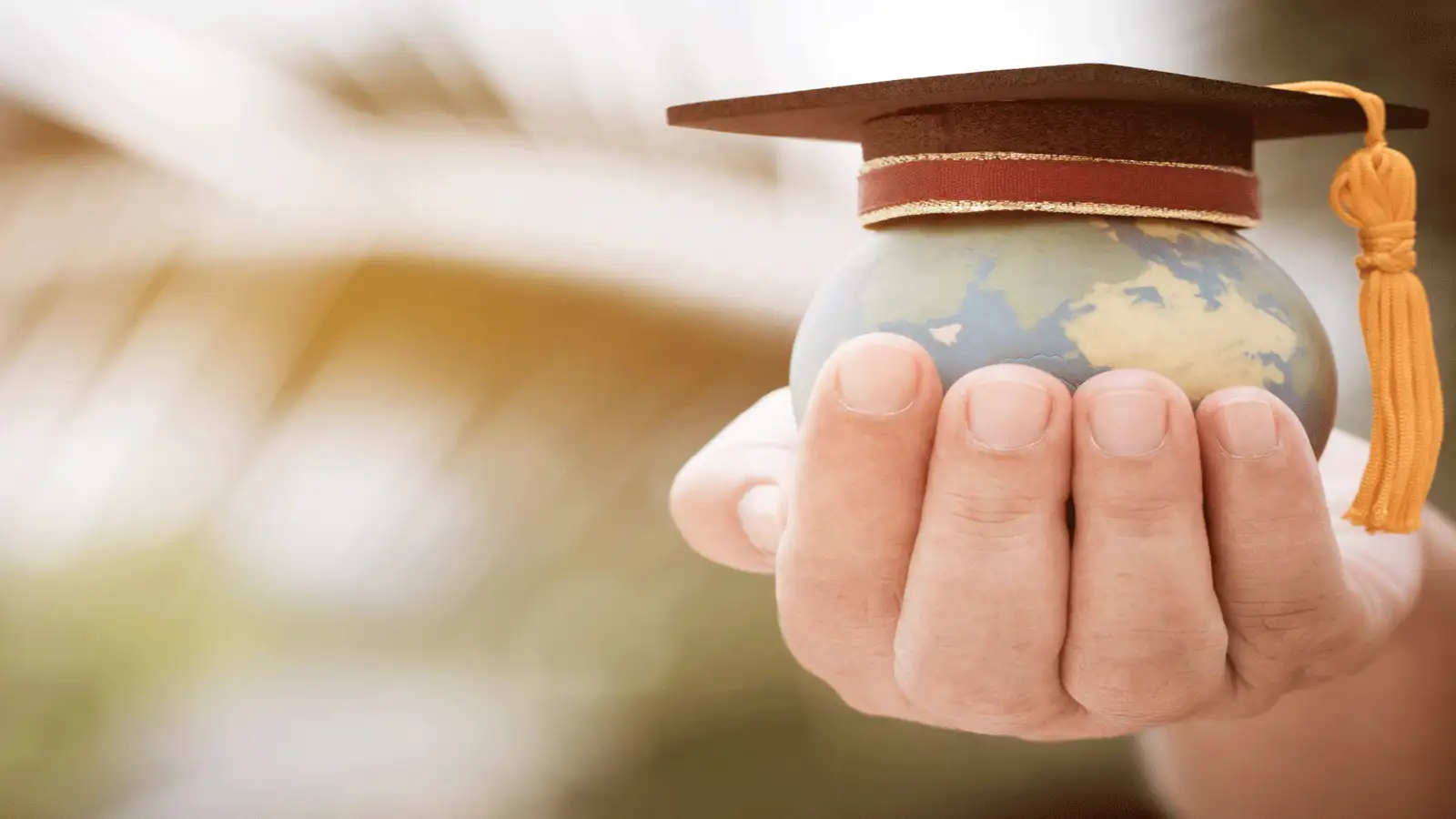 How Can Government Loan Schemes Make Education Affordable ?