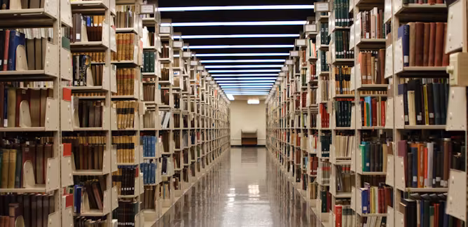 How Can University Library Resources Help You Excel Academically?